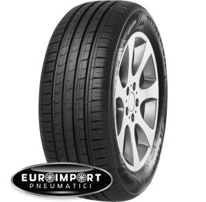 Minerva F 209 195/55 R15 85 H  TL